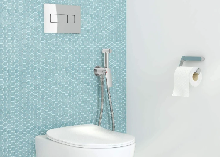 Deante Peonia Zestaw WC podtynkowy 6 w 1 CDES6ZPW